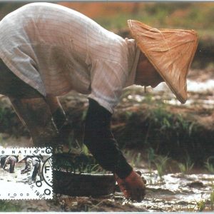 68859 - UNITED NATIONS  - Postal History - MAXIMUM CARD 1984 - AGRICOLTURE Rice