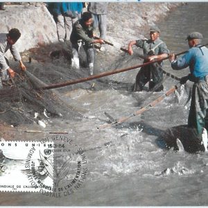 68858 - UNITED NATIONS  - Postal History - MAXIMUM CARD 1984 - Fishisng