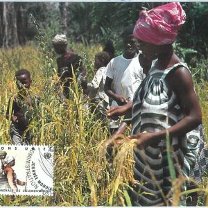 68863 - UNITED NATIONS  - Postal History - MAXIMUM CARD 1984 - AGRICOLTURE