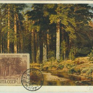 86483 - Russia  - Postal History - MAXIMUM CARD - ART Trees Nature 1960's