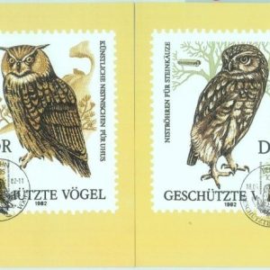 89872 - GERMANY DDR - Postal History - set of 4 MAXIMUM CARDS -  BIRDS Owls 1982