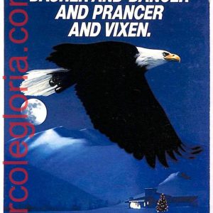 ai3132 - USA -  POSTAL HISTORY - Postal Stationery Card - Eagles