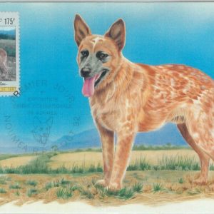 81277 - NOUVELLE CALEDONIE  - Postal History - MAXIMUM CARD - FAUNA Animals 1992