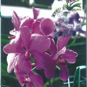 72864 - CHINA - Postal History - MAXIMUM CARD -  FLOWERS 1996