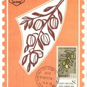 72869 - ISRAEL - Postal History - MAXIMUM CARD - FLOWERS Fruit OLIVES  1959