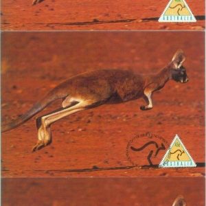 81382 - AUSTRALIA  - Postal Stationery +  MAXIMUM CARD  - FAUNA Kangaroo 1994