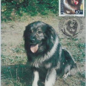 81353 - SSLOVENIA  - Postal History -  FDC  MAXIMUM CARD - 1992  Dogs