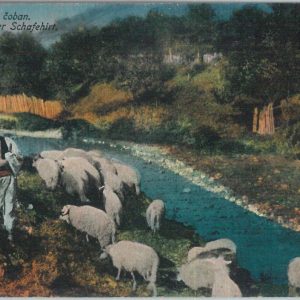 79500 -  Bosnia and Herzegovina - VINTAGE  POSTCARD -   ETHNIC Costumes