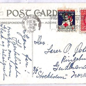 ai3355 - USA -  POSTAL HISTORY - Postcard - Red Cross - 1919
