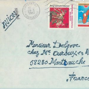 81023 - MADAGASCAR - POSTAL HISTORY -  COVER from Antsirabe  1982 Orchids