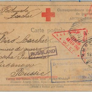 67192 - ITALY - Postal History -  RED CROSS Stationery letter from POW 1916
