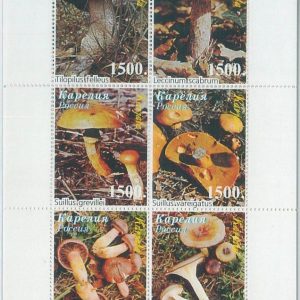 M2231 - RUSSIAN STATE, MINIATURE SHEET: Mushrooms
