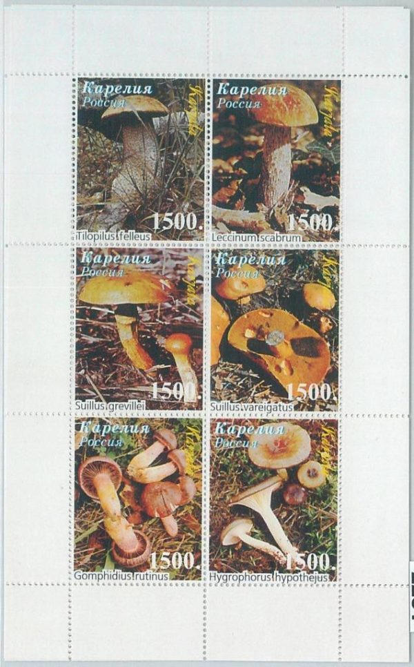 M2231 - RUSSIAN STATE, MINIATURE SHEET: Mushrooms