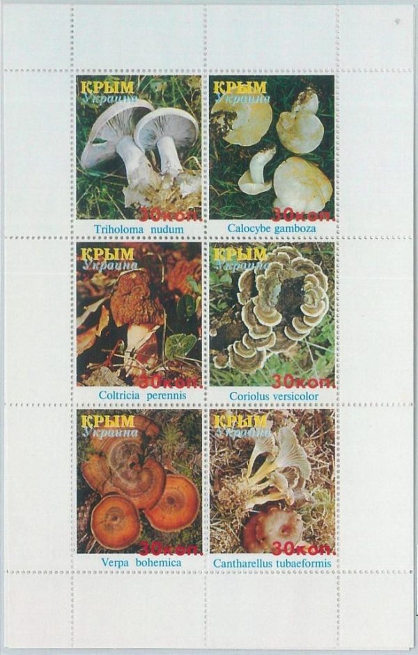 M2232- RUSSIAN STATE, MINIATURE SHEET: Mushrooms