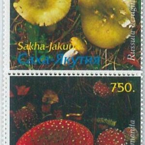 M2206- RUSSIAN STATE, STAMP SET: Mushrooms
