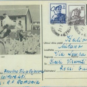 85455 - ROMANIA - POSTAL HISTORY -  STATIONERY CARD 1950's  - BIRDS Chickens