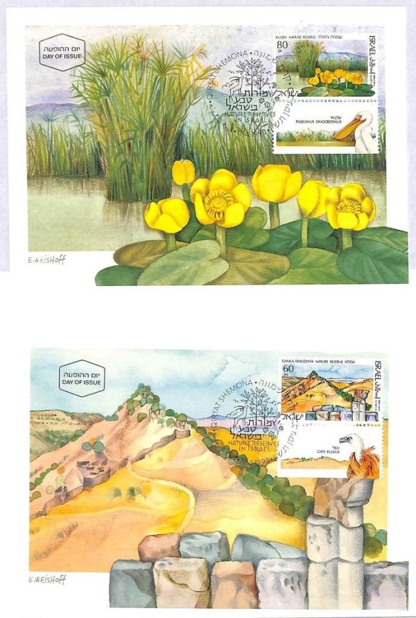 ai1812 -  ISRAEL - Postal History -  Set of 3 MAXIMUM CARDS Nature BIRDS Flowers