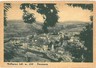 CARTOLINA d'Epoca: SAVONA - MILLESIMO