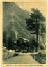 CARTOLINA d'Epoca - TORINO : ROSONE