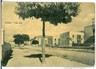 08443  CARTOLINA d'Epoca - SIRACUSA: AVOLA