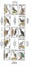 F010  FRANCOBOLLI - BAHARAIN 1991:  UCCELLI - BIRDS