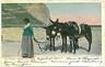 CARTOLINA d'Epoca: CAPRI - COSTUMI: NOLEGGIATRICE ASINI