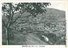 05672  CARTOLINA d'Epoca:  PARMA -  BEDONIA: PANORAMA