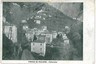 00101  CARTOLINA d'Epoca: GENOVA: FAVALE DI MALVARO: PANORAMA