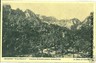 03318  CARTOLINA d'Epoca: FIRENZE - CANCELLI: PENSIONE