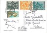 VATICANO - STORIA POSTALE : Cartolina  1956