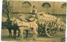 CARTOLINA d'Epoca: NAPOLI COSTUMI: BAROCCIO del GRANO