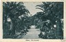 07424   CARTOLINA d'Epoca: RIBERA - Agrigento AG  SICILIA