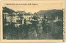 03872  CARTOLINA d'Epoca - VERBANIA : CRAVEGGIA