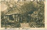 00033  CARTOLINA d'Epoca: USCIO  - GENOVA