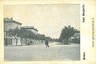 08936  CARTOLINA d'Epoca - MODENA Citta: VIALE MARGHERITA