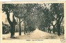 CARTOLINA d'Epoca: MASSA CITTA - MASSA CARRARA