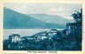 08972  CARTOLINA d'Epoca - VARESE: PINO SUL LAGO MAGGIORE