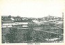 08984 CARTOLINA d'Epoca - ALESSANDRIA:  CERRINA