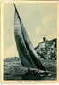 CARTOLINA d'Epoca: SAVONA - CERIALE