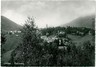 02502  CARTOLINA d'Epoca - BERGAMO: SELVINO