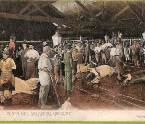 af2768 - URUGUAY - VINTAGE POSTCARD  - Playa del Saladero - 1909