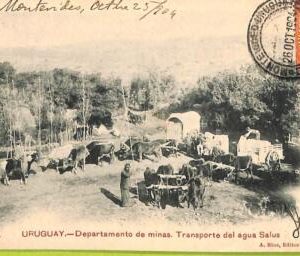 af2771 - URUGUAY - VINTAGE POSTCARD  - Montevideo - 1904