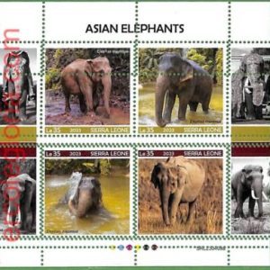 B1781 - SIERRA LEONE - ERROR MISPERF Stamp Sheet - 2023 - Asian Elephants
