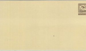 83804 - PAPUA New GUINEA - POSTAL HISTORY - Postal Stationery  Cover PALM TREE