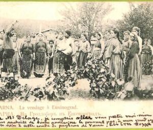 ae9404 - BULGARIA - VINTAGE  POSTCARD - Varna (Варна)
