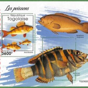 B1881 - TOGOLAISE - ERROR MISPERF Stamp Sheet - 2023 - Fishes, Marine Life