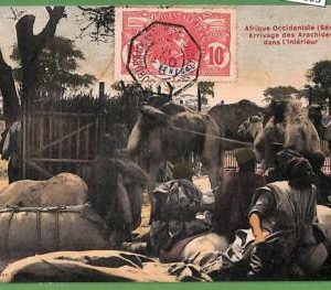 ah2393 - VINTAGE POSTCARD Ansichtskarten - SENEGAL -  ETHNIC