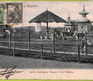 af0175 - ARGENTINA - VINTAGE POSTCARD - Buenos Aires - Jardin Zoologico
