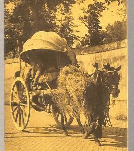 ab0384 - VINTAGE POSTCARD - ROME City: Wine carter