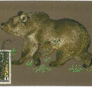 32184- Russia USSR- POSTAL HISTORY- MAXIMUM CARD-1961:Wild Animals, Hunting,